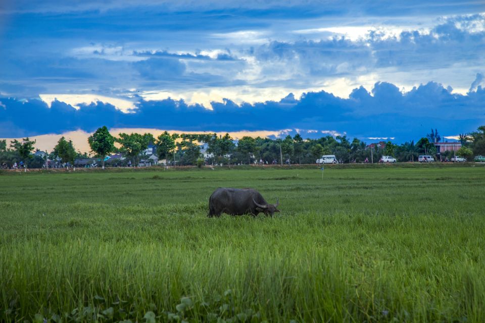 Hoi An: Private Evening Food Tour by Bike - Bánh xèo and the family welcome vibe