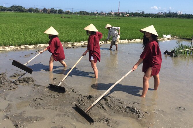 Hoi An Rice Farm Tour and Buffalo Riding with Local Home Meal - Key highlights at a glance
