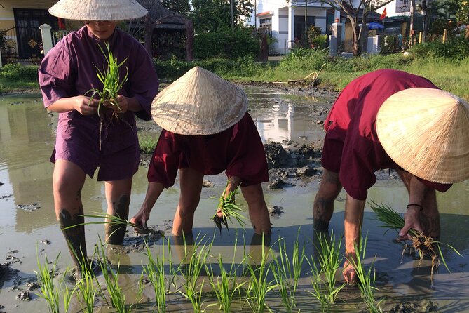 Hoi An Rice Farm Tour and Buffalo Riding with Local Home Meal - Buffalo riding: the thrill and the reality check
