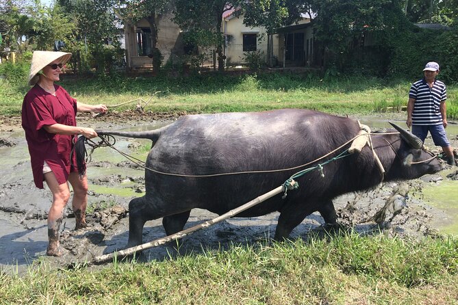 Hoi An Rice Farm Tour and Buffalo Riding with Local Home Meal - Price and value: what $60 covers (and what it doesn’t)