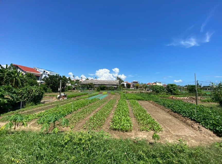Hoi An: Rural Cycling Tour to Village with Basket Boat Ride - Getting Started at 77 Tran Phu Street and Finding Your Pace