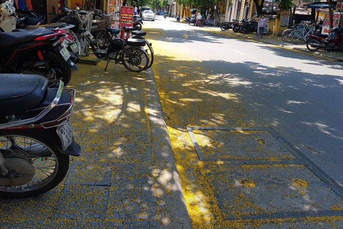 Hoi An town private walking tour with boat trip - A local show and a Mot herbal tea break