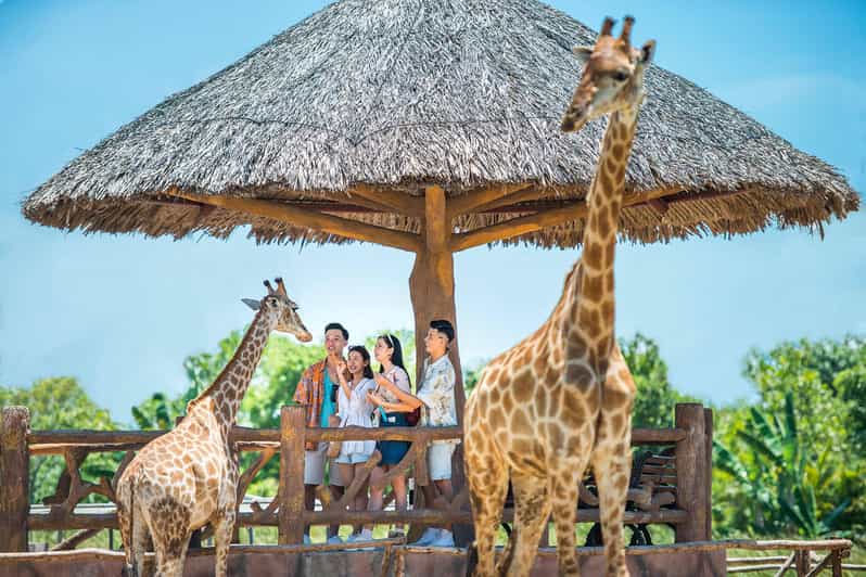 Hoi An: Vinwonders Nam Hoi An Theme Park Entry Ticket - Adventure Land: rides for all ages, including the 85-meter Swiss Tower