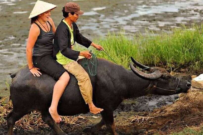 Hoi An Wet Rice Farming Tour-Basket Boat Tour Fishing-Lunch - Buffalo ride along the stream: why it matters