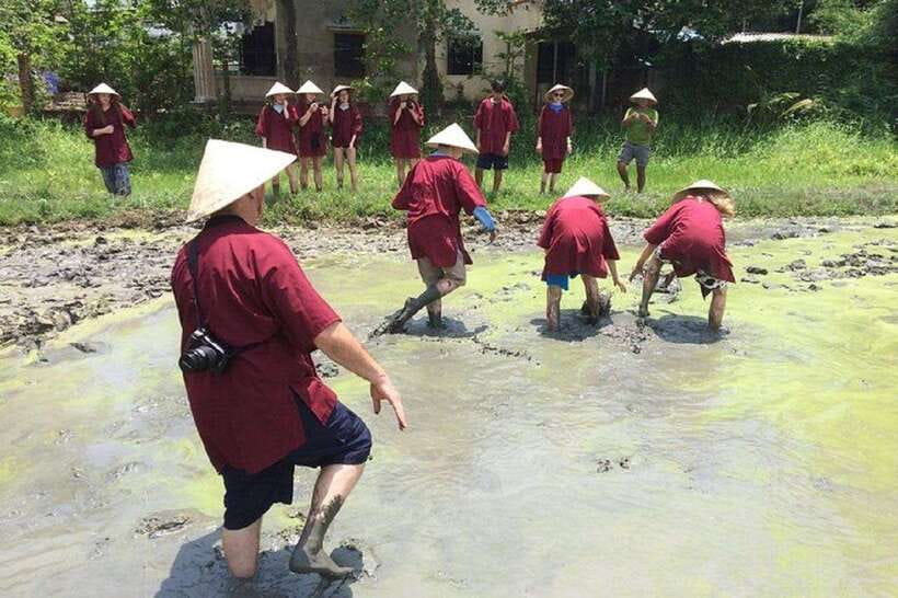 Hoi An Wet Rice Farming Tour-Basket Boat Tour Fishing-Lunch - Wet rice farming with real tools, not just photos