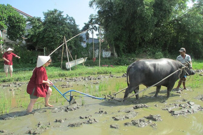 Hoi An Wet Rice Farming Tour Private Round Boat Fishing & Lunch - Cam Thanh Wet Rice Paddies: Seeding, Tools, and Mud Fishing