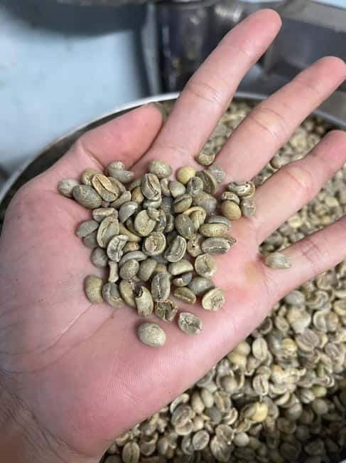 Hoi An:Coffee Making Class (Coffee: egg, Salt, Coconut, ...) - Key Highlights You’ll Care About