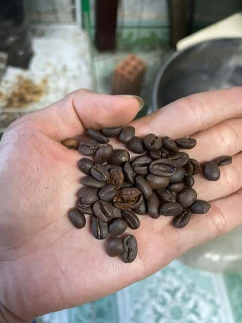 Hoi An:Coffee Making Class (Coffee: egg, Salt, Coconut, ...) - Inside a Hoi An Coffee Roastery: What You’re Actually Doing