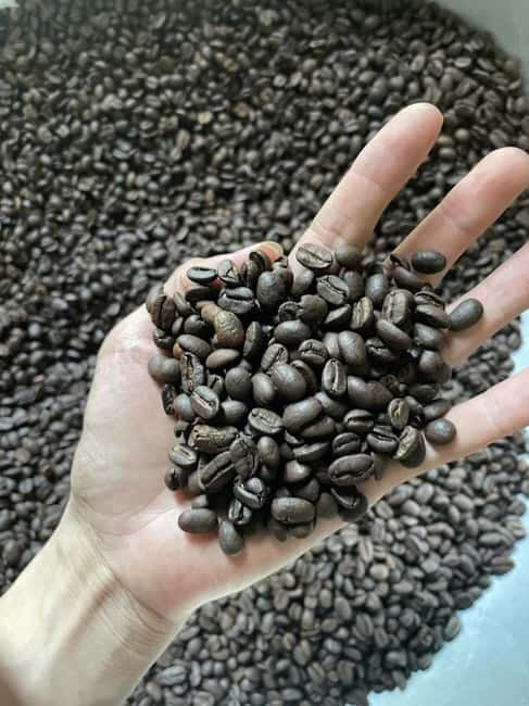 Hoi An:Coffee Making Class (Coffee: egg, Salt, Coconut, ...) - The “From Crop to Cup” Part That Makes It Worth $16