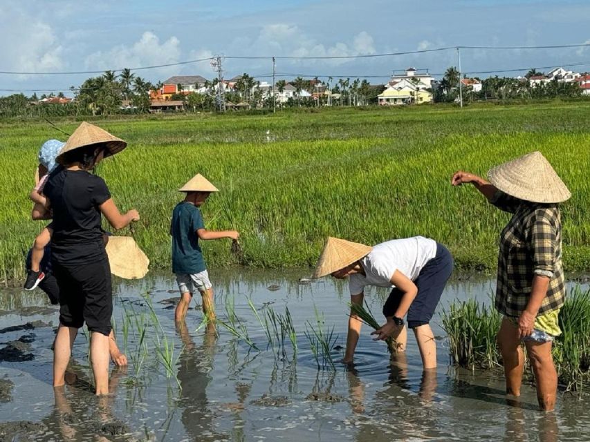 Hoi An:Cycling,Traditional Farming & Fishing Life Experience - From Hoi An to Cam Thanh: the bike ride that sets the tone
