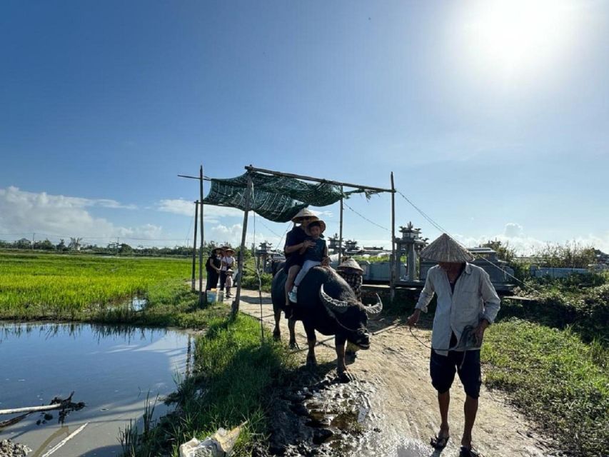 Hoi An:Cycling,Traditional Farming & Fishing Life Experience - Lunch on land: the meal that ties the whole day together