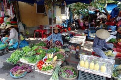 Morning Cooking Class in Thuan Tinh Island depart from Hoi An Old Town - The river ride and row boat through water coconut trees