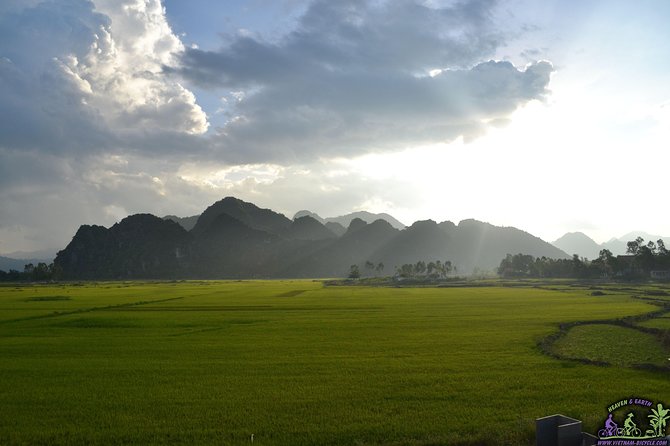 Mountain Bike Riding from Hoi An - The route: rice fields, river islands, and bridges you actually cross