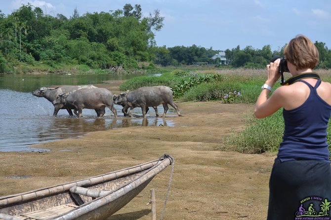 Mountain Bike Riding from Hoi An - Mountain bikes vs. road cycling: what the terrain really means