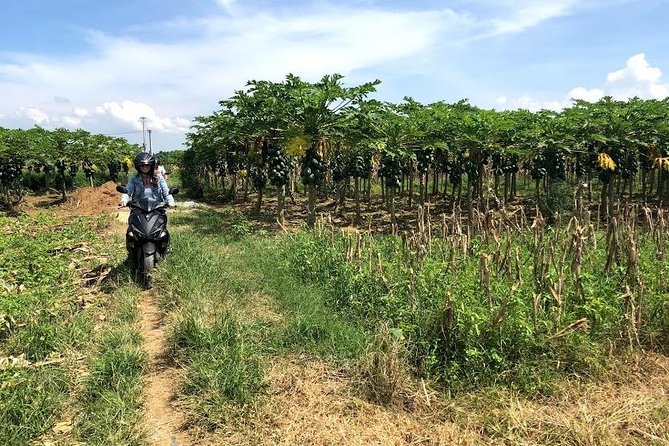 My Son Adventures Loop (1 ngày -150km) - Should you book this tour?