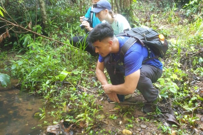 My Son sanctuary and mountain trekking - How This Day Balances Temples and Real Mountain Nature
