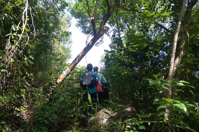 My Son sanctuary and mountain trekking - The Trek Portion: Hidden Paths, Streams, and a Guide Who Knows the Land