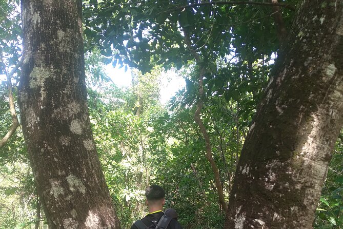 My Son sanctuary and mountain trekking - Nature Time Isn’t Just Scenic Stops