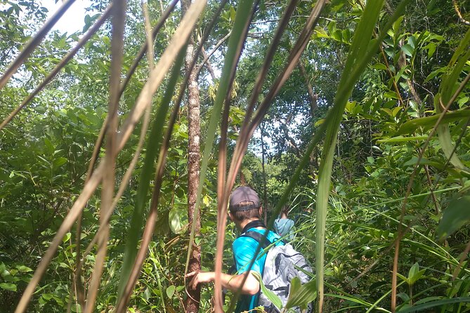 My Son sanctuary and mountain trekking - Breakfast, Banh Mi Lunch, Coffee, and Barbecue by the Water