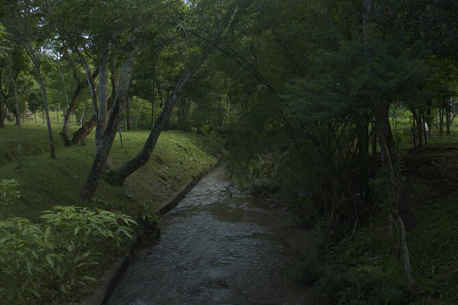 My Son Sanctuary Private Tour - Early Morning or Half Day Tour - Should You Book This My Son Private Tour?