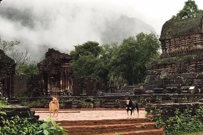 My Son Sanctuary Sunrise Private Tour - Who this tour suits best (and who should reconsider)