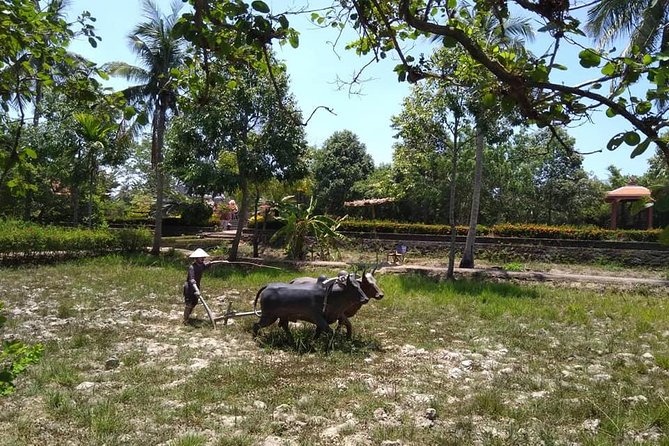 Private Day Trip To Visit MY LAI MASSACRE from Hoi an or Da Nang City - Why a private My Lai Memorial day trip is the right kind of respectful