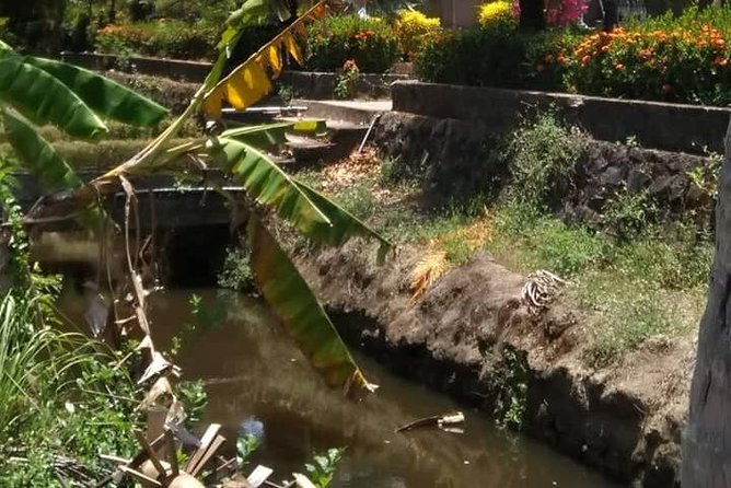 Private Day Trip To Visit MY LAI MASSACRE from Hoi an or Da Nang City - Lunch, pacing, and the “don’t rush a memorial” factor