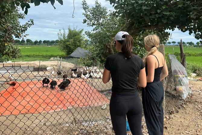 Private Half-Day Hoi An Tour for Families, Couples & Small Groups - Hoi An Old Town streets: market lanes, temples, and assembly halls