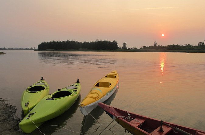 Private Hoi An Bike and Kayak Guided Tour with Lunch - Pace, Comfort, and Who This Tour Suits Best