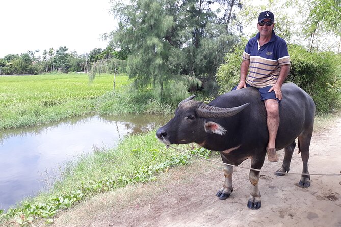 Private Hoi An Countryside: Biking, Basket boat, buffalo, foods - Price and Logistics: Is This $40 a Smart Deal?