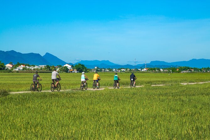 Private Hoi An to My Son Sanctuary Full-Day Bike Tour - Meeting at Discova Day Tour Shop: Get Your Bike and Your Bearings
