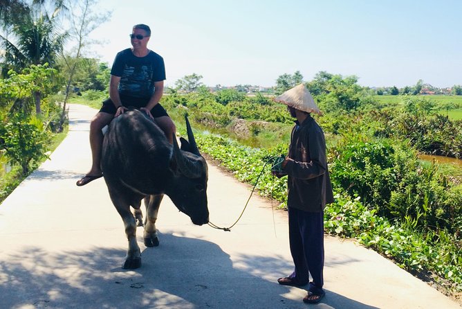 Riding Water Buffalo and Basket Boat Hoi An Private Bike Tour - Bay Mau Coconut Forest: nipa palm waters and basket boat fun