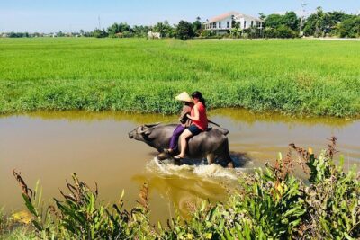 Riding Water Buffalo and Basket Boat Hoi An Private Bike Tour - Cam Chau: paddy fields, morning glory, peanut gardens, and woodworking