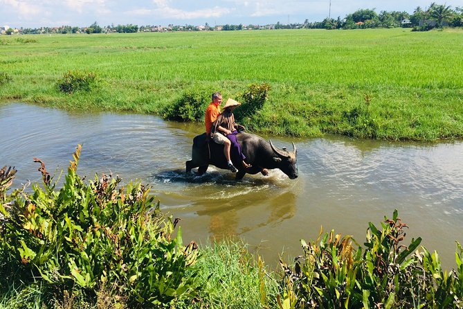 Riding Water Buffalo and Basket Boat Hoi An Private Bike Tour - Getting comfortable on the bike: what to expect and how to prep