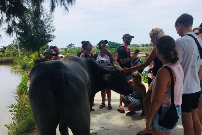 Riding Water Buffalo and Basket Boat Hoi An Private Bike Tour - Meeting point and private logistics that keep things smooth