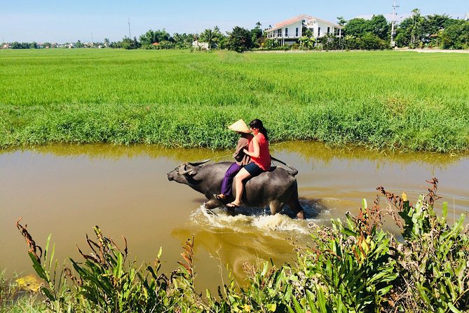 Riding Water Buffalo and Basket Boat Hoi An Private Bike Tour - Cam Chau: paddy fields, morning glory, peanut gardens, and woodworking