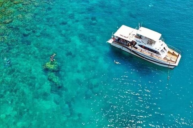 Scuba Diving Tour in Cham Island for certified divers or Beginners - Who This Tour Is Best For (and Who Might Want Another Option)