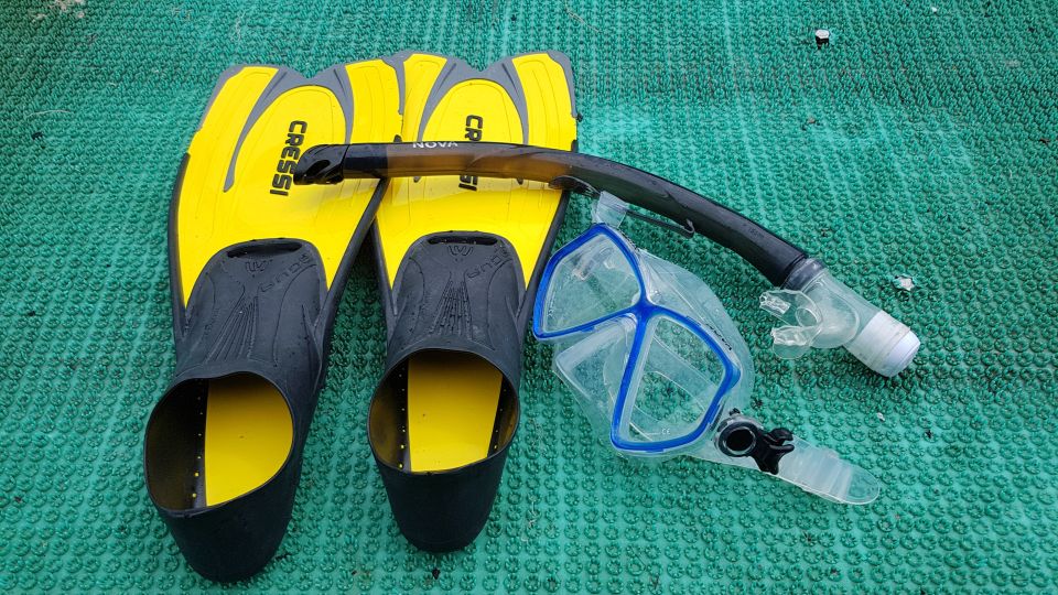Snorkeling Cham Island: Snorkeling Tour by Speed Boat - Cham Island’s Fees and Conservation Angle (Yes, It Matters)