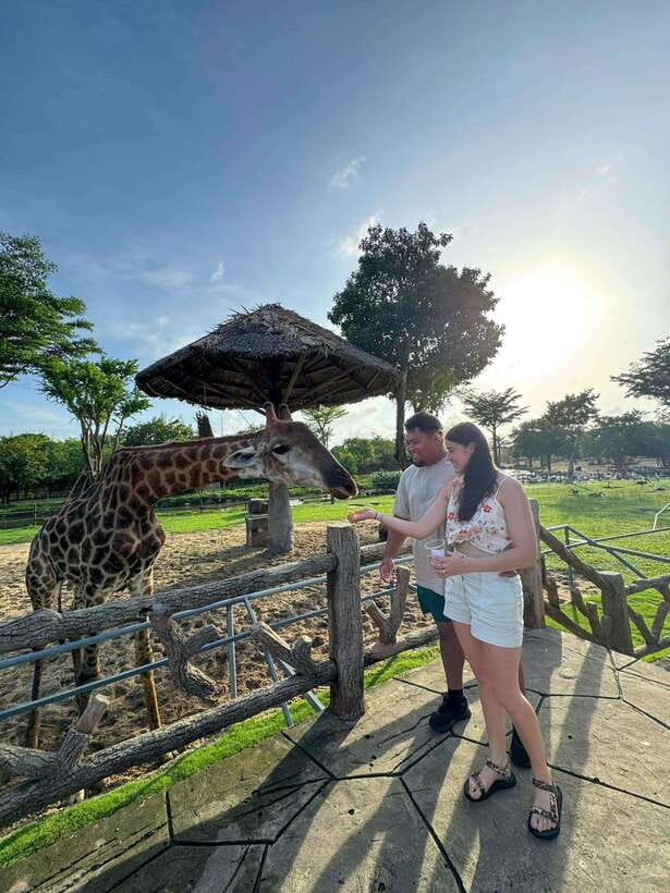 South Hoi An River Safari With Candle-lit Beach Dinner - Who should book this night safari and dinner?