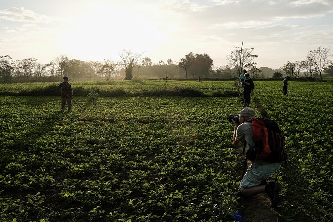 Sunset photo tour with the farmers - Price and value: is $55 actually fair for what you get?