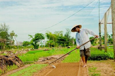 Tra Que Village Cycling And Farming - How the timing and bike setup affect your comfort