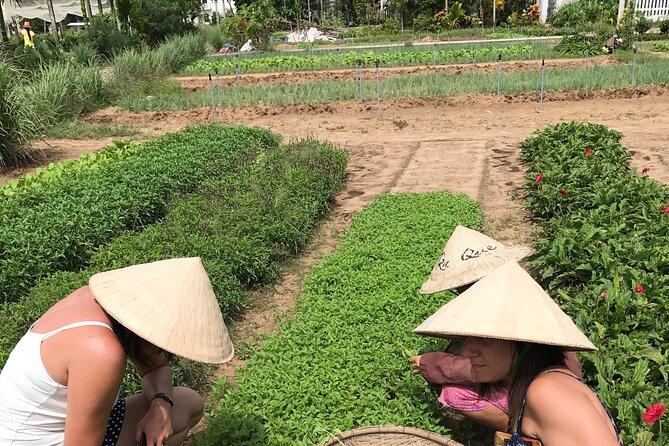 Tra Que Village Cycling And Farming - Lunch with local pho: simple food, good energy