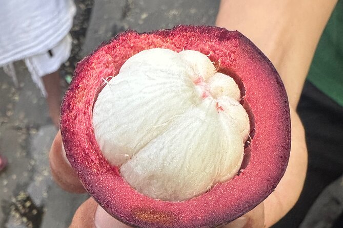Vegan Food Tour - Untold Stories of Hoi An - Price and value: $28 for food, coffee, and a historic-house tasting