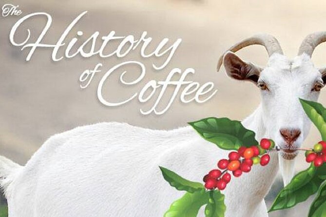 Vietnamese Culture and Coffee Making Class - The five cups: what makes each one memorable